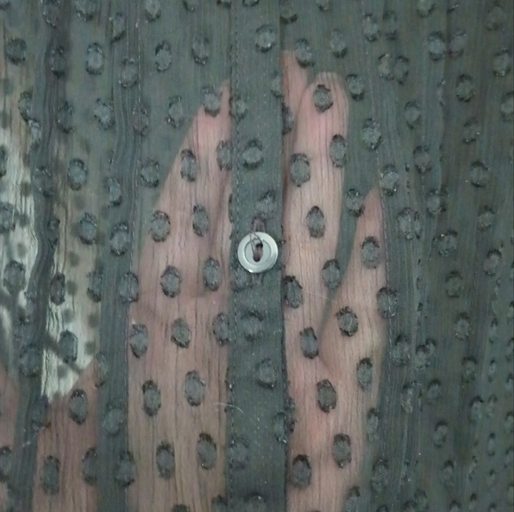 Sheer Black Button-down Blouse (XL) - Picture 5 of 7